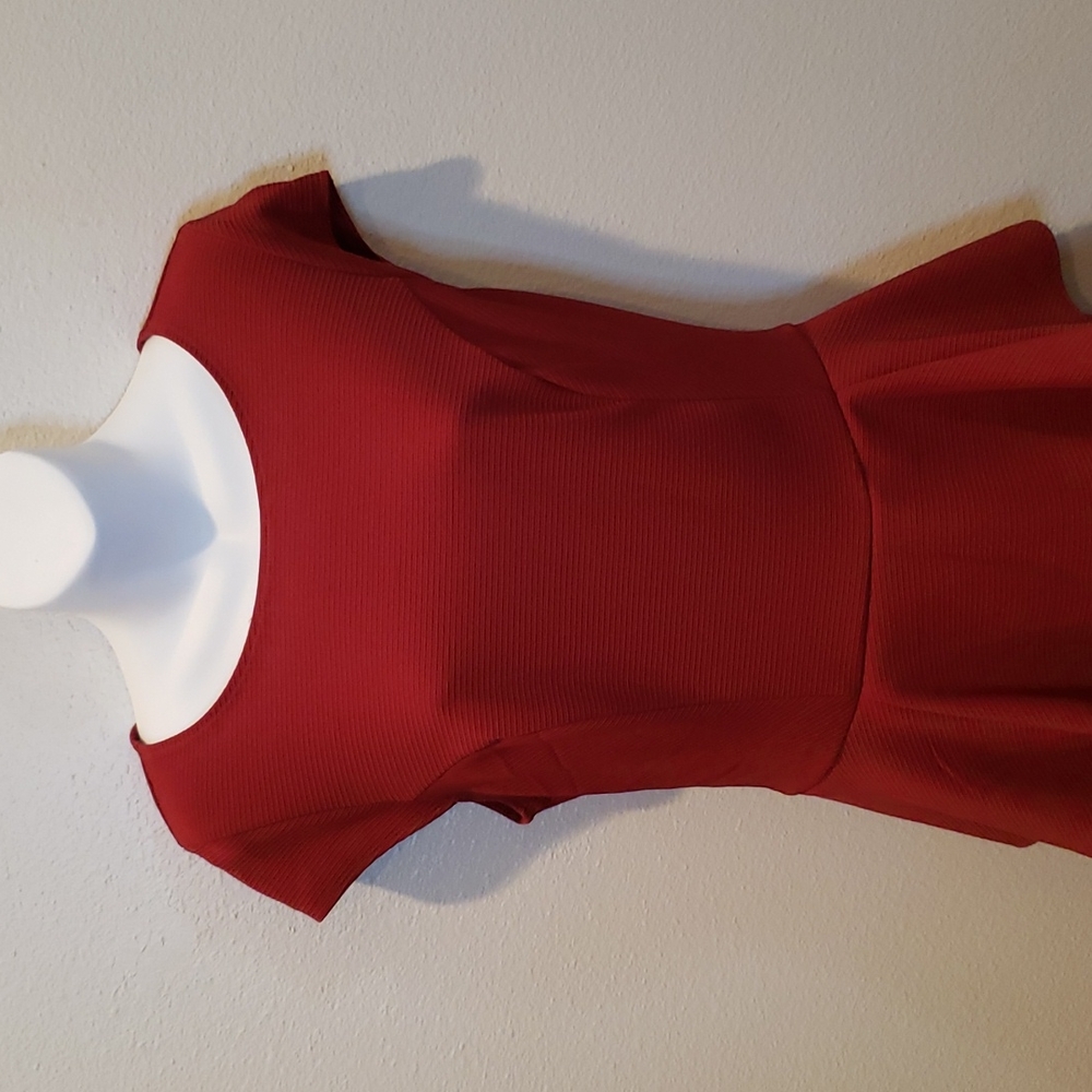 NWOT Cranberry Dress sz Large - Picture 2 of 9